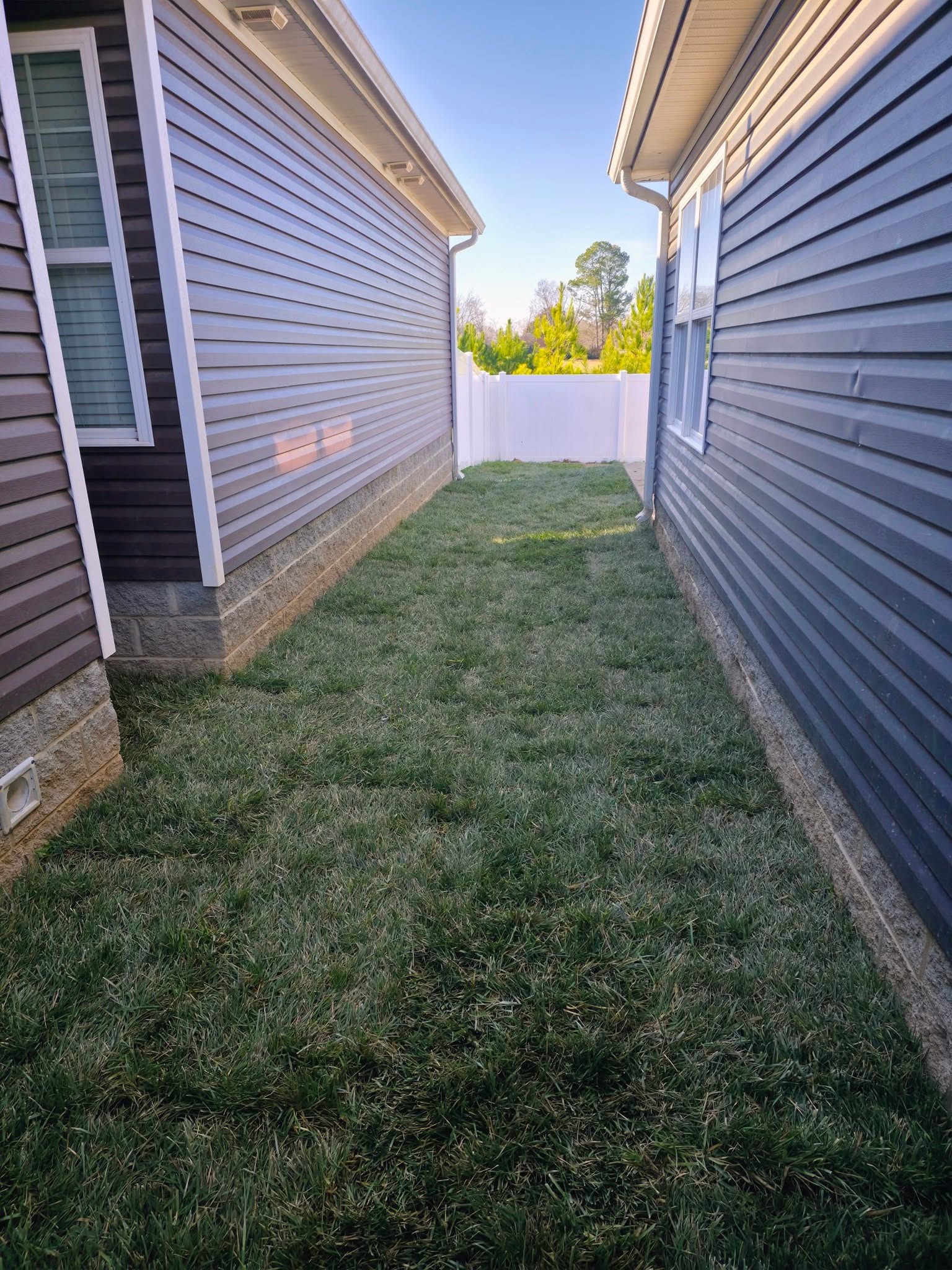 Clean and detailed boxwood hedge row in Clarksville