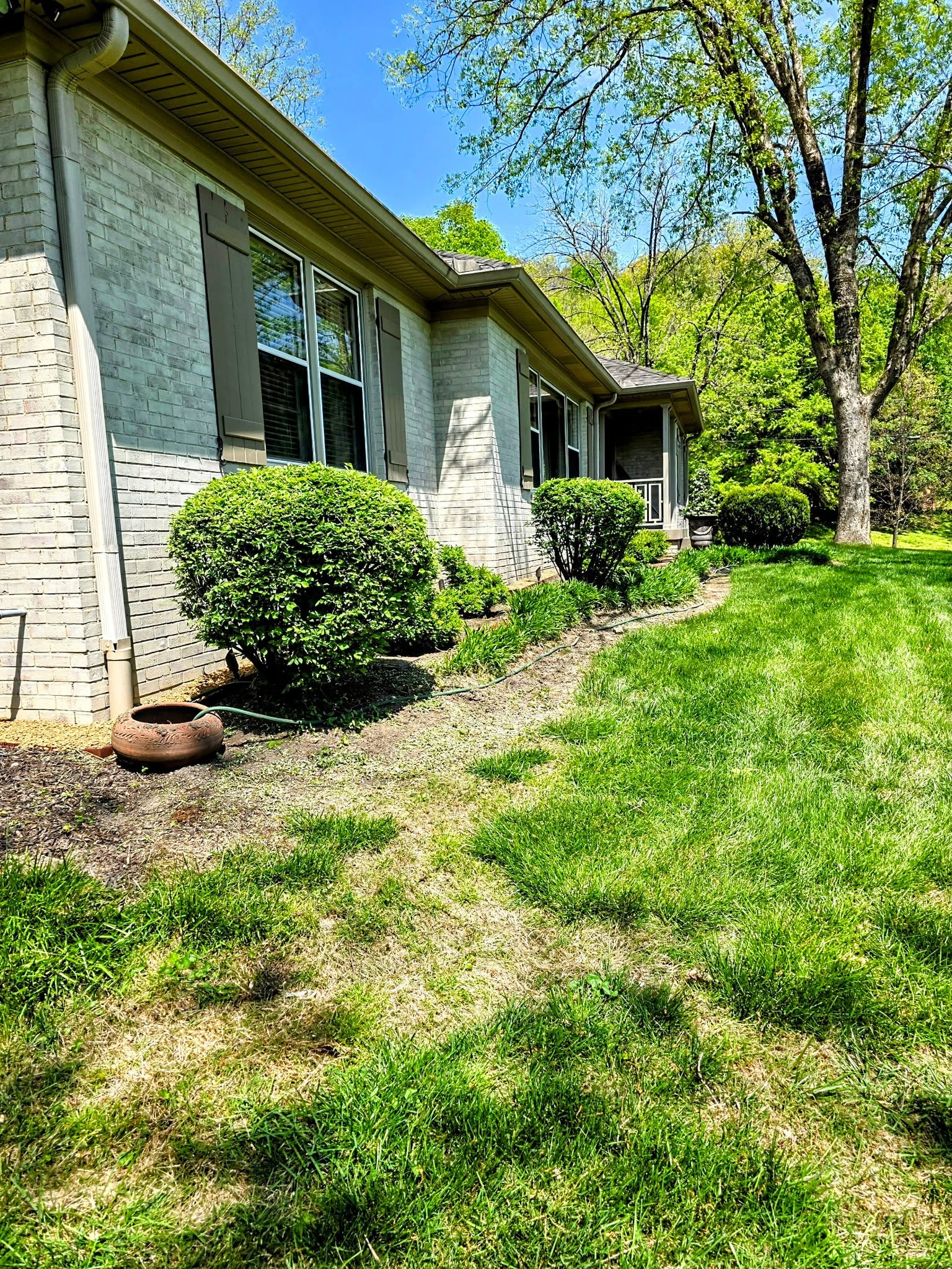Before Property Clean-up